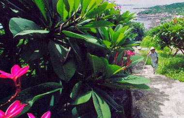 Snorkeling on Ko-Khaangkhaao beach